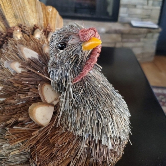 Gorgeous Natural Turkey-NWT - Picture 2 of 10